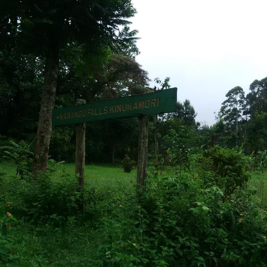 Serene Mountain Lodge Marangu Buitenkant foto