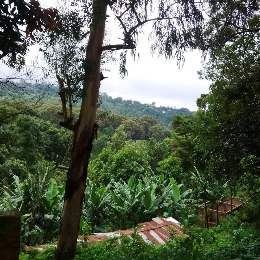 Serene Mountain Lodge Marangu Buitenkant foto